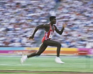 10896942 688945417890290 4424387829072666875 n