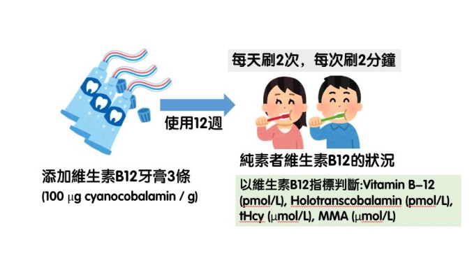 B12牙膏