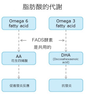 FADS enzymes