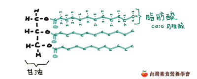 MCT structure